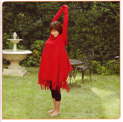 Abe Natsumi 〜Best Selection〜 15shoku no Nigaoetachi