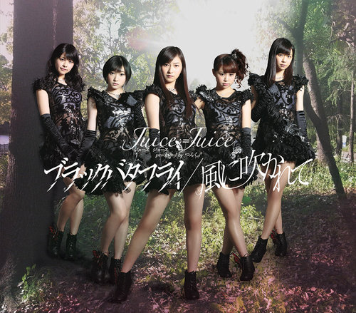Black Butterfly / Kaze ni Fukarete