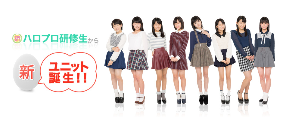 Kobushi Factory
